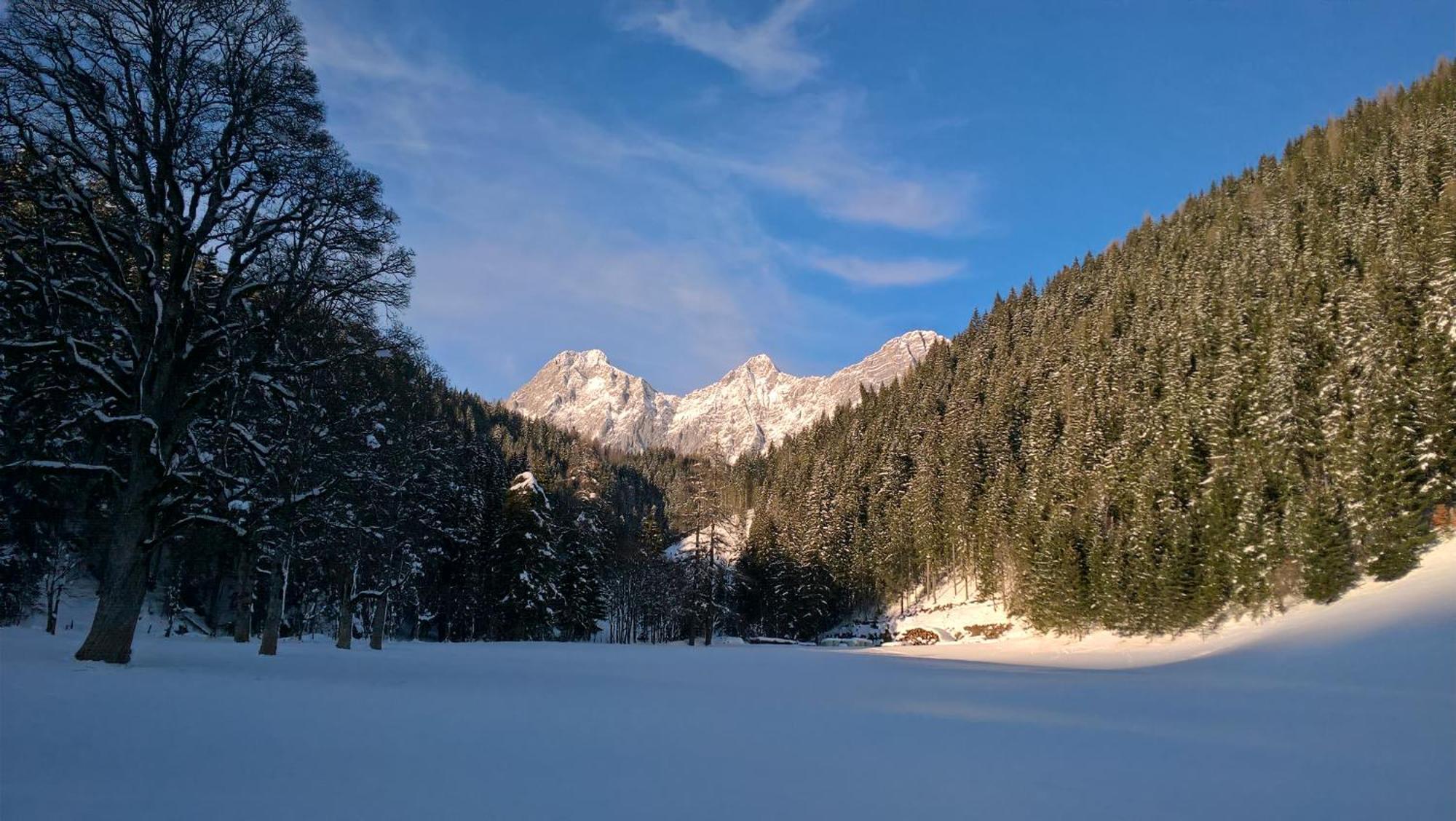 Alpenrose Boutique Chalet Gretl Рамзау ам Дахщайн Екстериор снимка