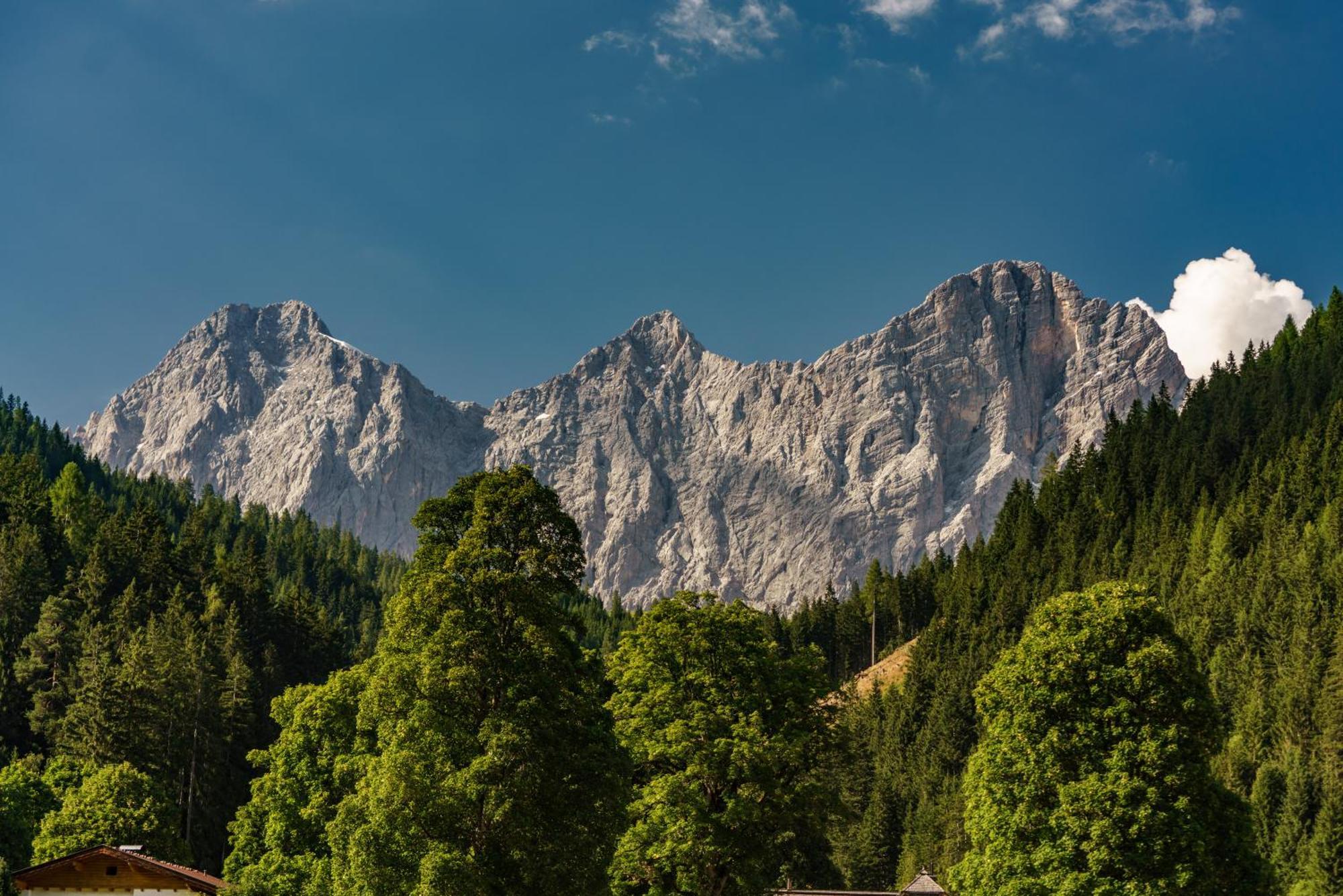 Alpenrose Boutique Chalet Gretl Рамзау ам Дахщайн Екстериор снимка